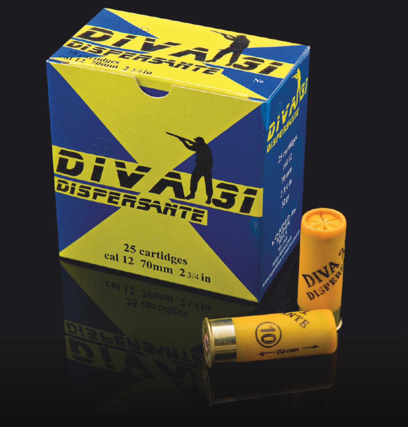 DIVA 31 DISPERSANTE