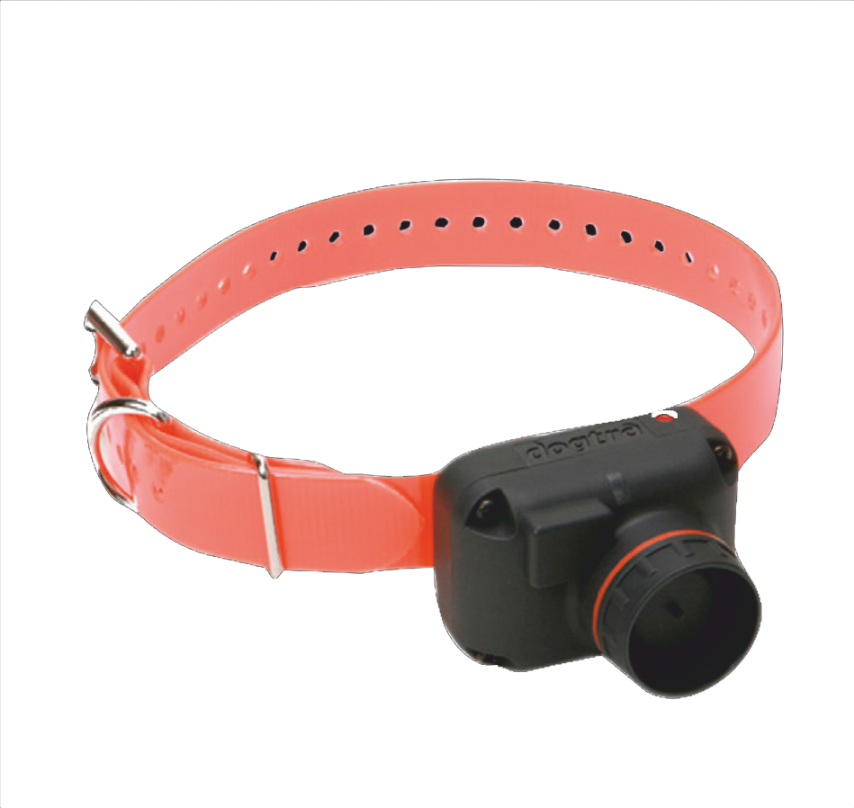DOGTRA STB HAWK
